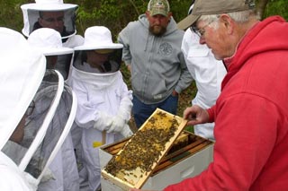 Photo of beekeeping.